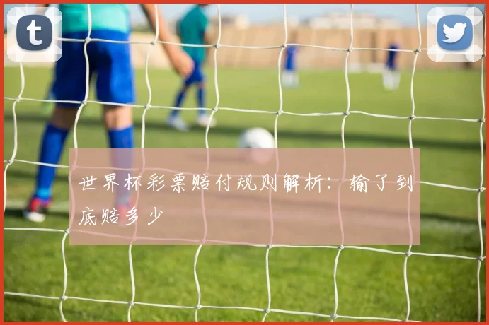 世界杯彩票赔付规则解析：输了到底赔多少