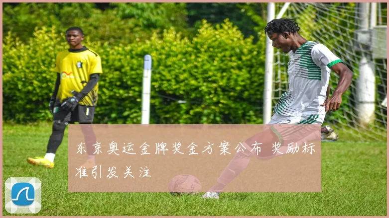 东京奥运金牌奖金方案公布 奖励标准引发关注