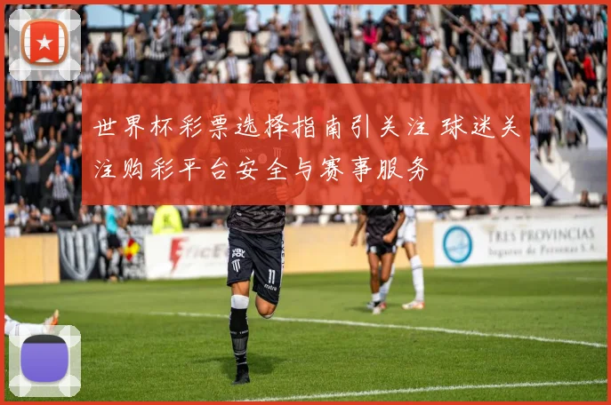 世界杯彩票选择指南引关注 球迷关注购彩平台安全与赛事服务